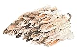 Kaureks Natur Kaninchenohren mit Fell 2x500g, ca 75 STK. Hasenohren, fettarm, Kauartikel, Kausnack