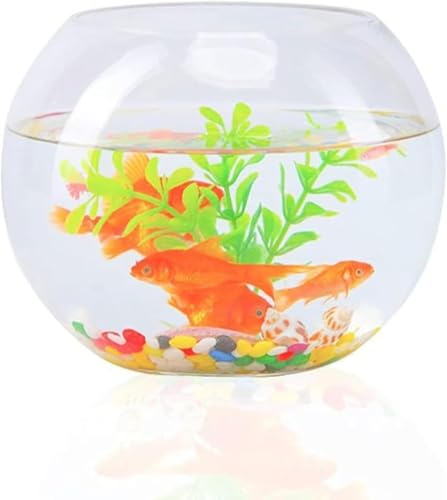 ���^��������, �A�N�A���E��, �K���X, �~�`, �ϗt�A��, ���� (18cm)