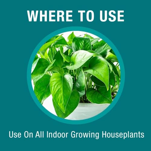Baby Bio Abono Líquido para Plantas de Interior 5.9 Oz 3-Pack miniatura 5