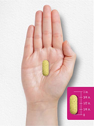 Carlyle Multivitamin For Women 50 And Over | 250 Caplets | Iron Free | With B-Vitamins, D3, And Calcium | For Women 50 Plus | Gluten Free #TOP6