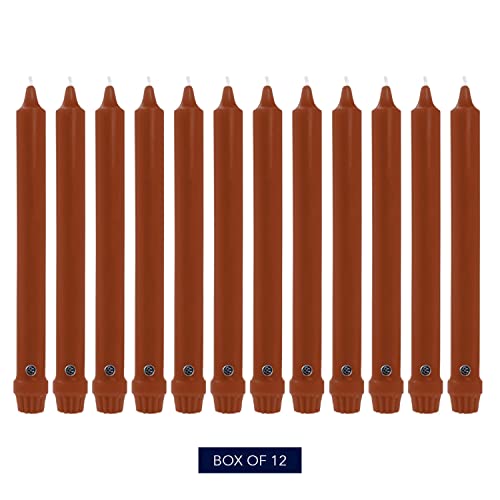 Image of Colonial Candle Unscented Taper Candle, Classic Collection, Amber, 10 in, Pack of 12 - Up to 8 Hours Burn