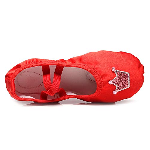 HROYL Cute Ballet Shoes Satin Ballet Slippers,Suitable for Toddler Little Big Girl,TJ-HGballet3