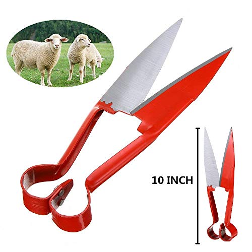 EatingBiting 10" Sheep Shearing Hand Shear Scissors Steel Black Handle Cutters Animal Clipper - Thumbnail 3