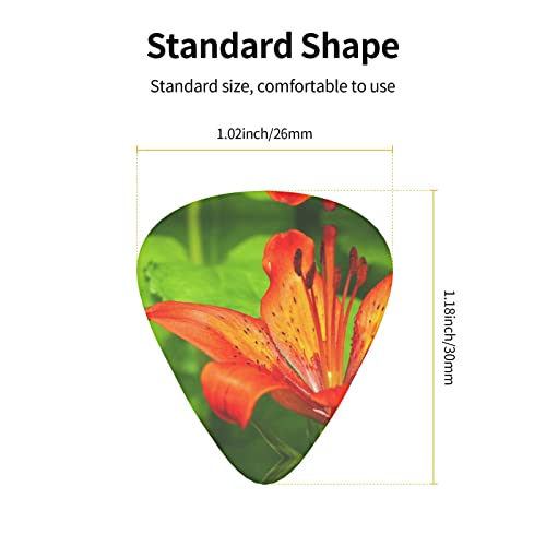 Pack de 12 médiators Tiger Lily pour guitare électrique Guitare acoustique Diverses guitares - Les Beatles, Paul McCartney, John Lennon, RIngo Starr, George Harrison Pack de 12 médiators Tiger Lily pour guitare électrique Guitare acoustique Diverses guitares – Image 4