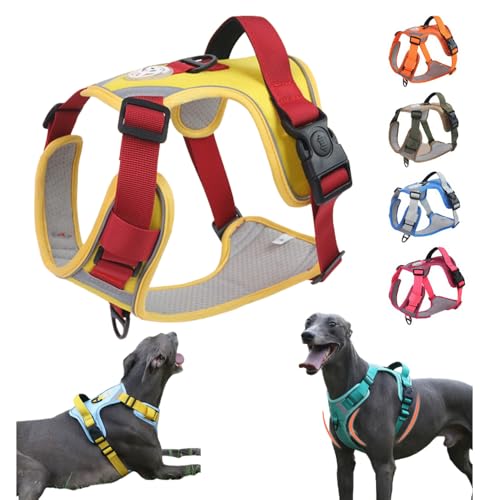 yVozp n[lX, ̎ pbhxXg, ˍޕt ^/^/^ L U/P/o|/ ybg ́[˂ Ȃ y EȒP \ ʋC iJ[11jiTCYLC1j