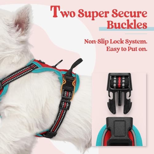 Image of rabbitgoo Dog Harness No Pull with 2 Leash Clips, Adjustable Soft Padded, Reflective Oxford No Choke Pet Vest with Easy Control Handle for Puppy, Red & Teal, XS