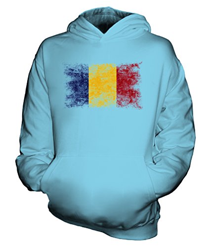 Sweat-shirt à capuche Roumanie enfant drapeau délavé pull unisexe