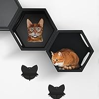 Algopix Similar Product 16 - Wall Cat Bed Cat Shelves Wall Cat Toy