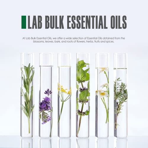 Lab Bulks Peppermint Essential Oil - 16 Ounce Bottle - 1 Pack #TOP2