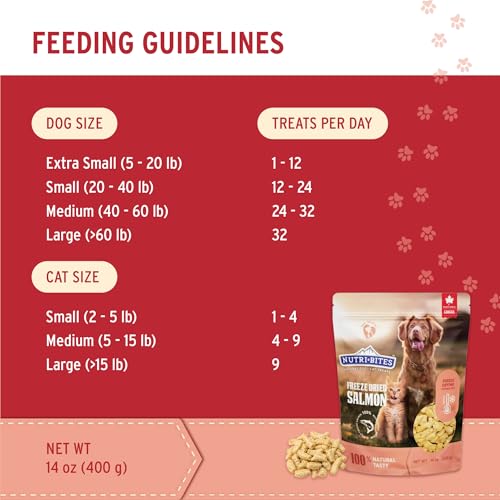 Image of Nutri Bites Freeze Dried Salmon Dog and Cat Treats, 14 oz
