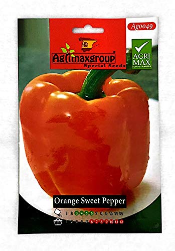 Orange Sweet Pepper seeds (Made in Spain) by Agrimaxgroup®