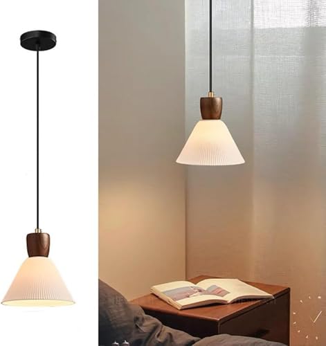 Lámpara colgante industrial vintage de cerámica para salón y pasillo 1