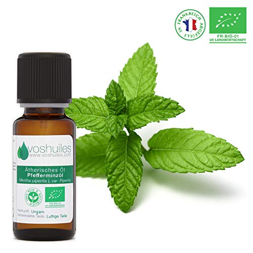 Preisvergleich Produktbild Ätherisches Bio-Pfefferminzöl - 20 ml