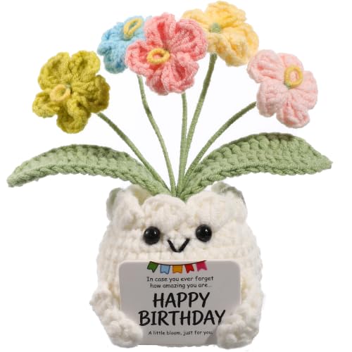 YOOJEE Crochet Forget Me Not Flower Pot Birthday Gifts for Women