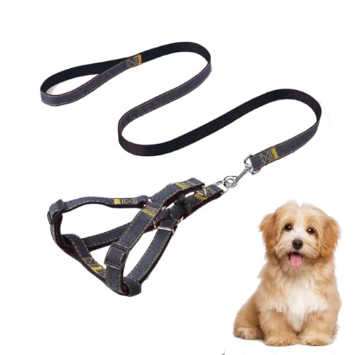 2 pezzi di pettorina a Y per cani con guinzaglio pettorina dog, nera pettorina dog, per cani da 8 a 15 kg.