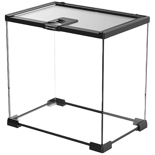 ঒��� �P�[�W ���^ �K���X�� �g�J�Q �J�� �J�G�� �w�r �n���X�^�[ ����P�[�X �e�����E�� �������� �u���b�N�t���[�� ���� �ʋC�� �ώ@���₷�� ����e�� (����,30*20*30cm)