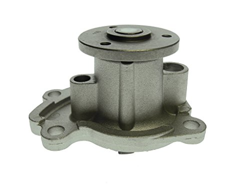 Saleri SIL PA1504 Wasserpumpe