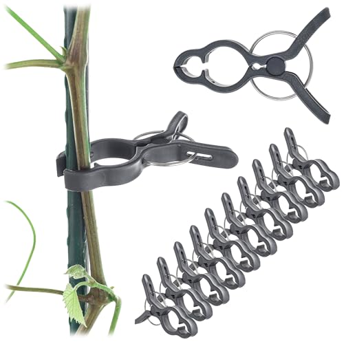 KADAX 10 x Pflanzenklammern 7.5x5.5cm für Tomaten, Gurken, Rosen und andere Kletterpflanzen, Pflanzenclips Klein, Rankhilfe für Rankpflanzen, Tomatenclips (Grau)
