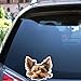 Imagen de 2 pegatinas de vinilo de Peeking Yorkshire Terrier