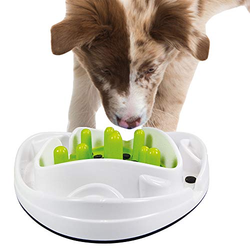 ALL FOR PAWS Interaktives Futternapf für Hunde und Welpen, mit Labyrinth-Puzzle, Spielzeug – Anti-Schlupf verlangsamt das Essen