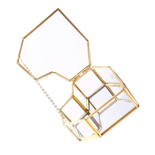 Didiseaon Caja de Joyería de Transparente con Marco de Cobre Dorado Organizador Decorativo para Pendientes y Accesorios Exhibidor Elegante para Almacenamiento y Presentación de Joyas