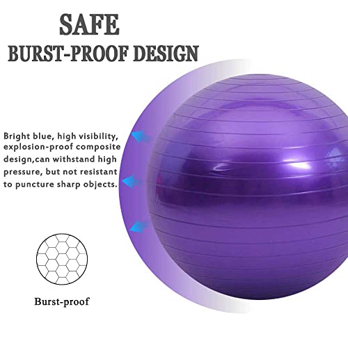Chyesong Pferdeball-Trainingsspielzeug, Anti-Burst-Pferde-Übungsball mit Inflator-Pumpe für Pferd, Lamm, Ziege, Unterhaltungsspielzeug Ball (55,9 cm, lila), 55,9 cm
