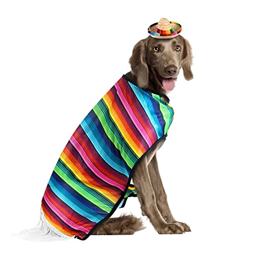 Dog sombrero hat pet serape poncho costume funny dog costume multicolor adjustable sombrero costume mexican dog poncho straw hat chihuahua clothes for mexican party decorations (large) 5 Dog sombrero hat pet serape poncho costume funny dog costume multicolor adjustable sombrero costume mexican dog poncho straw hat chihuahua clothes for mexican party decorations (large) - image 6