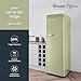 SWAN SR11050GNE Retro Tall Larder Fridge with 337L Capacity, 5 Glass Fridge Shelves, 1 Chrome Wine Rack, 6 Door Shelves, 1 Salad Crisper, Energy Class E, Green