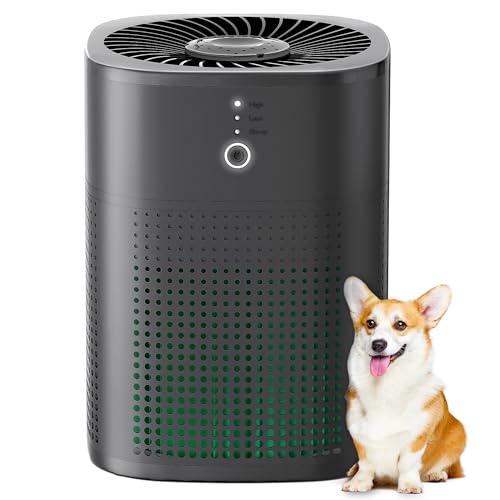 MERONTE Air Purifiers for Bedroom Home True HEPA Air Purifier with Fragrance Sponge Removes Smoke Pollen Pet Dander Allergies Odor Small Air Purifiers
