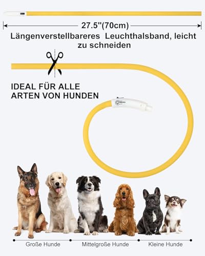 Joytale Leuchthalsband Hund USB Aufladbar Hundehalsband Leuchtend für Große Mittel Kleine Hunde und Welpe, Led Halsband mit 3 Modi für Sicherheit, Gelb