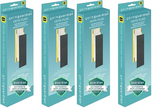 Image of GermGuardian HEPA Pure Genuine Air Purifier Filter B, Removes 99.97% of Pollutants, Wildfire Smoke, Odors, for AC4825, AC4300, AC4900, AC4880, AC4850, CDAP4500,Black /Yellow,FLT4825,2 Count (Pack of 2)