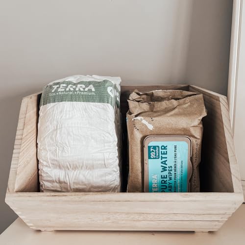 Image of Terra Organics Pure New Zealand Water Bamboo Baby Wipes, Biodegradable, Natural, 1 Pack of 70 Wipes