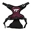 Virginia Tech Hokies Virginia Tech Hokies