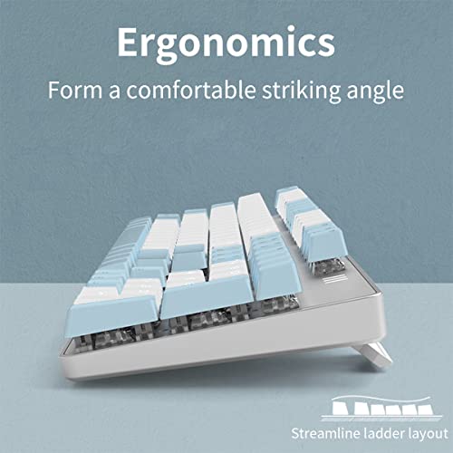 Merdia Mechanical Gaming Keyboard | Hot Swappable, 100% Backlit with Brown Switches, 104 Keys | Wired, PC Gaming Keyboards, Blue & White