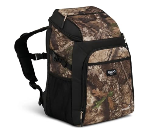 Gizmo BPACK RT APX 2P