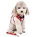 Ranphy Small Dog Tuxedo Harness with Bowtie Pet Gentleman Suit with Leash Set Adjustable Doggy Vest for Walking Training Running Hiking Red Size M
