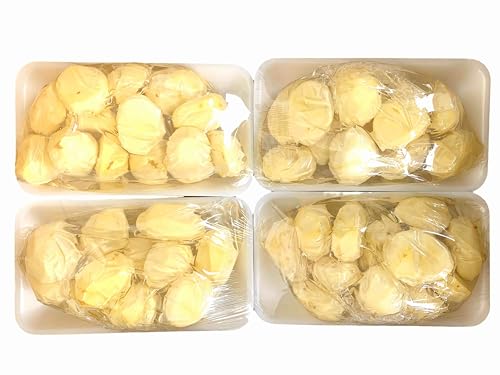 y錧Yz嗱 I Rk-QL 嗱 SpbN (200g×4) Љϔ }ԁEYY iZpŁw{x̐VNێjyNlR①z