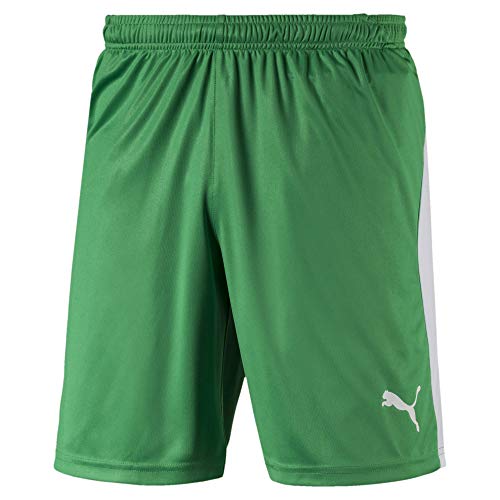 Image of PUMA - Mens Teamgoal 23 Knit Shorts