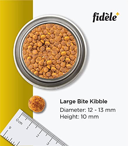 Image of Fidele+ Large Breed Puppy Food | 18kg | High Protein for Growth | Strong Bones & Joints | Controlled Growth | Weight Management