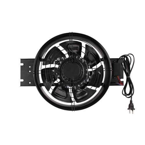 BALYDLUL Extractor de Aire de 10 Pulgadas, 100W, 220V, Fuerte, Ventana de Cocina, Extractor de Barbacoa, Ventana de Vidrio Fina silenciosa