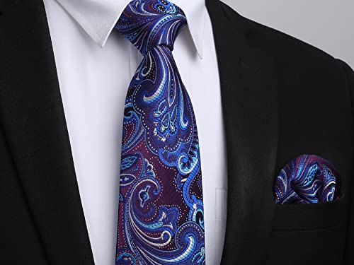 Image of HISDERN Ties for Men Paisley Tie and Pocket Square Woven Classic Floral Mens Ties Handkerchief Set Wedding Party Necktie