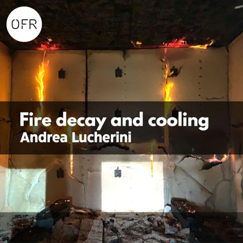218 - Decay and cooling phases with Andrea Lucherini cover art