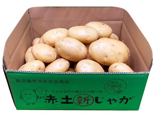 [サトキンファーム]沖永良部の赤土で育った新ジャガイモ 5kg(シンシア)2〜4月お届け