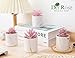 Der Rose 4 Packs Fake Succulents Plants Artificial Indoor for Pink Room Bathroom Decor Office Desk Accessories for Women