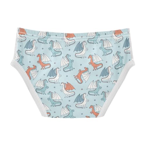 Cotton Little Boys Briefs Dragon Soft Toddler Underwear2