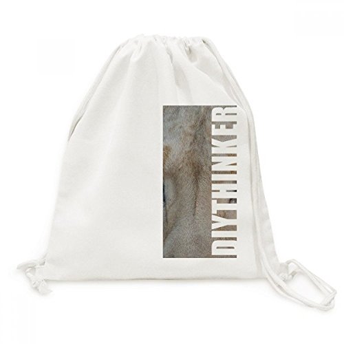 Sac cordon Toile Lion Sauvage pour ranger ses affaires de sport et accessoires