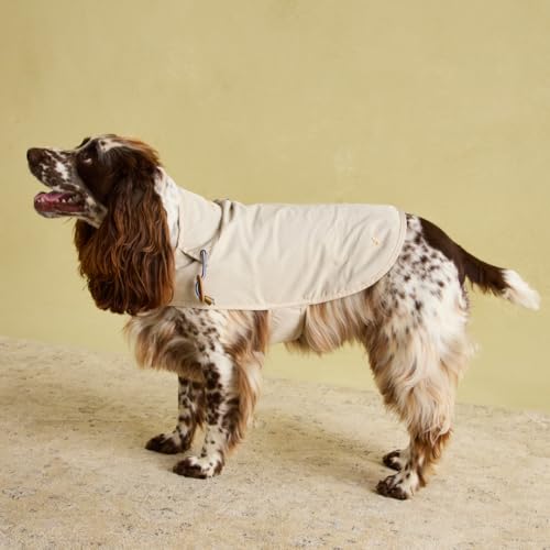 Rosewood x Joules Sandshell Raincoat for Dogs Medium, Washable, Lightweight, Water-Resistant Dog Coat for Medium Dogs