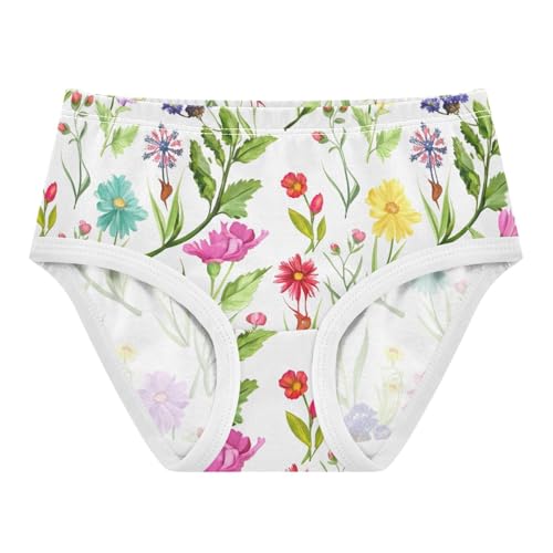 Fancy Girls Underwear Toddlers 2t Cotton Girl Panties Cute Colorful Flowers White Undies Kids Briefs