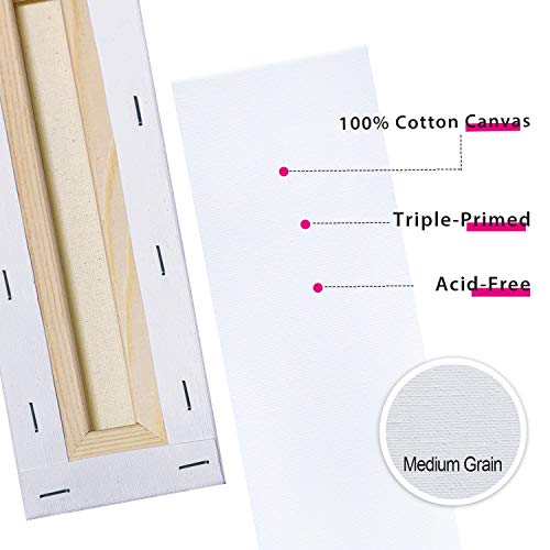 Phoenix Stretched Canvas For Painting 3X9 Inch/9 Value Pack, 8 Oz Triple Primed, 5/8 Inch Profile, 100% Cotton White Blank Canvas, Rectangular Framed Canvas For Oil Acrylic & Pouring Art #TOP2