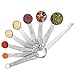 Vicloon Cucharas Medidoras y Regla de Medición, Juego 9 Piezas, 18/8 Material de Acero Inoxidable, para Medir Líquidos y Los Ingredientes Secos